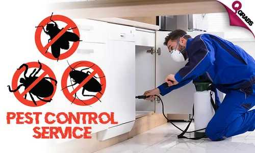 Pest Control: Cockroach & Bedbug Treatment Services!